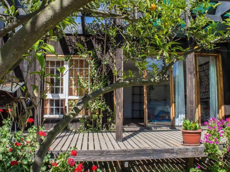 Casa Campo Lindo Olmué Екстериор снимка