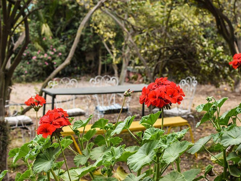 Casa Campo Lindo Olmué Екстериор снимка